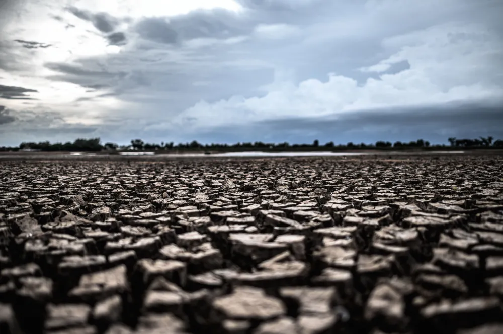 Degradação do solo e seus impactos ambientais e econômicos