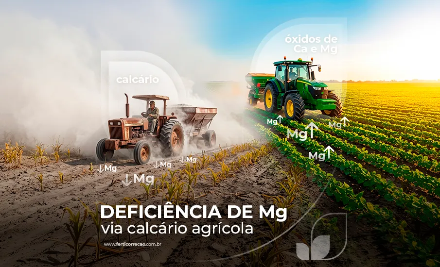 Calcário supre a demanda de magnésio?