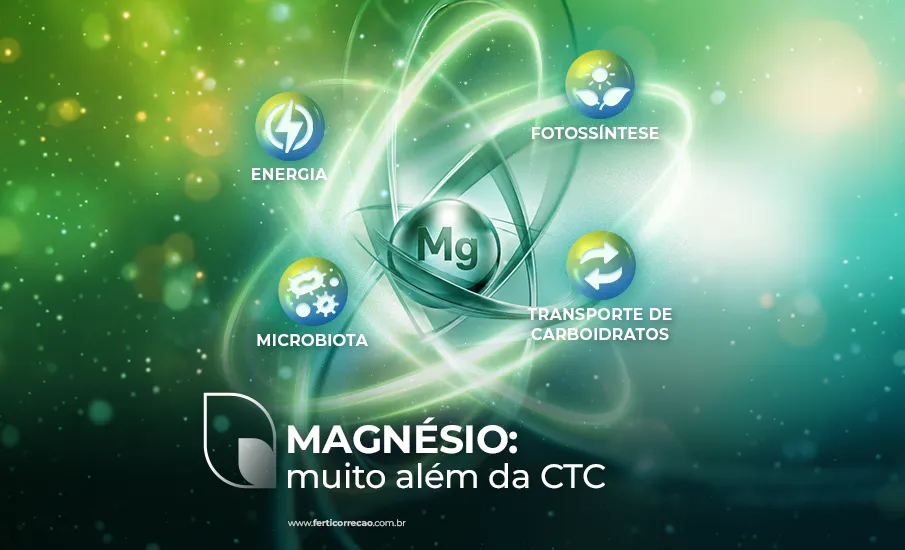 Magnésio: muito além da CTC 
