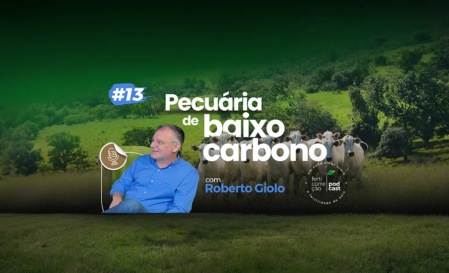 #13 Episódio do Ferticorreção Podcast