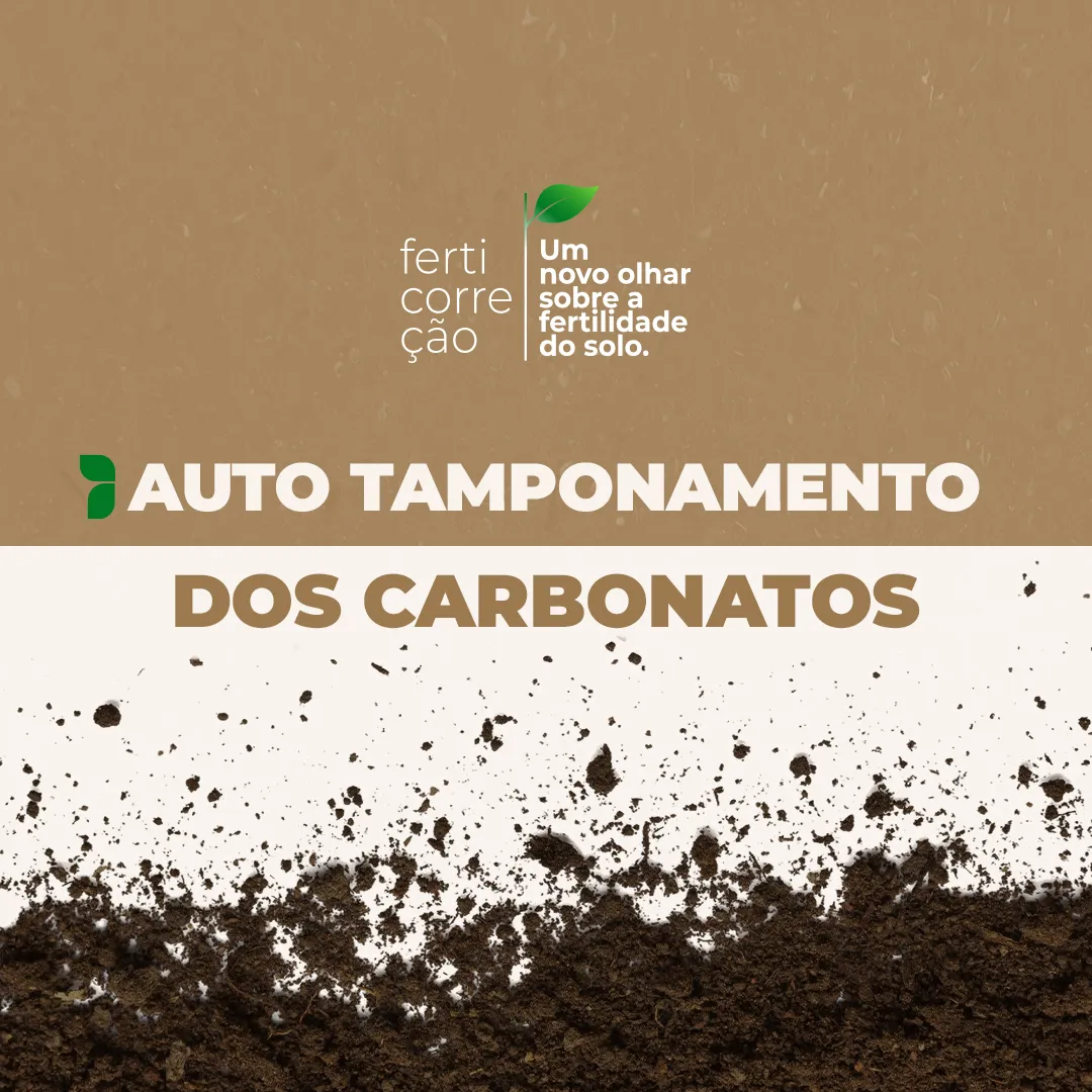 Auto tamponamento dos carbonatos