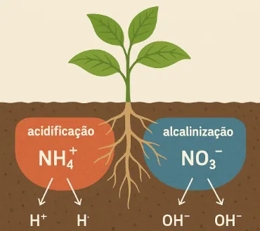 Interferência das plantas no pH do solo
