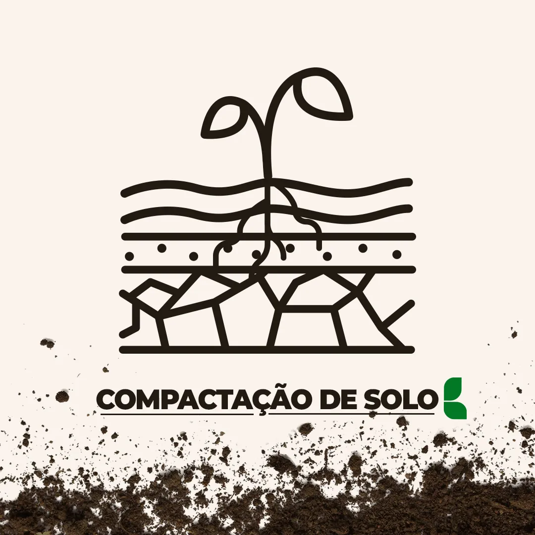 Compactação de solo e seus impactos negativos