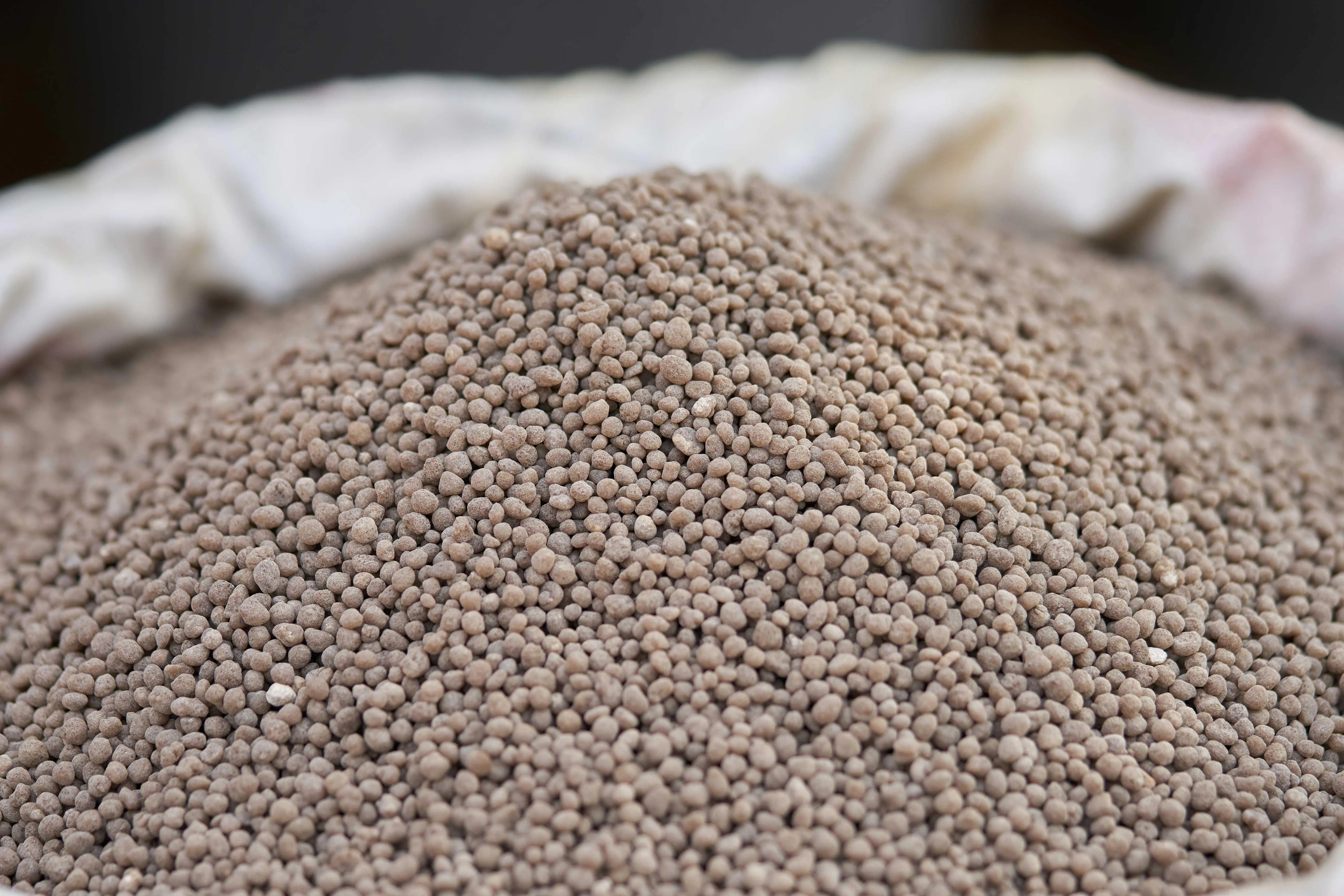 Fósforo - um nutriente essencial na nutrição vegetal