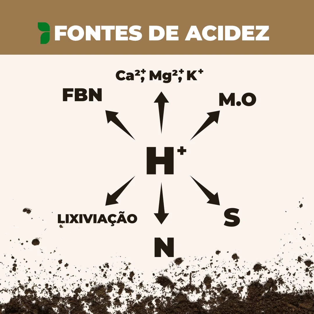 Principais fontes de geração de acidez
