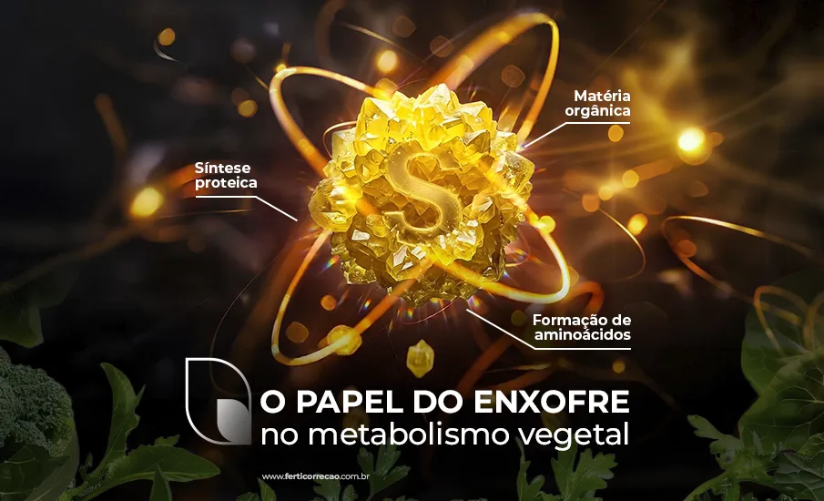 Enxofre, muito mais que apenas um nutriente 