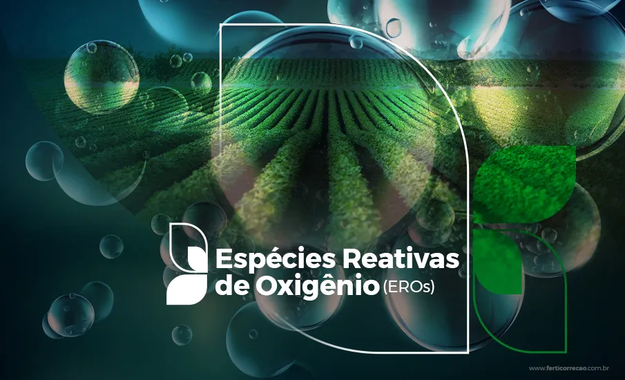 Espécies Reativas de Oxigênio 