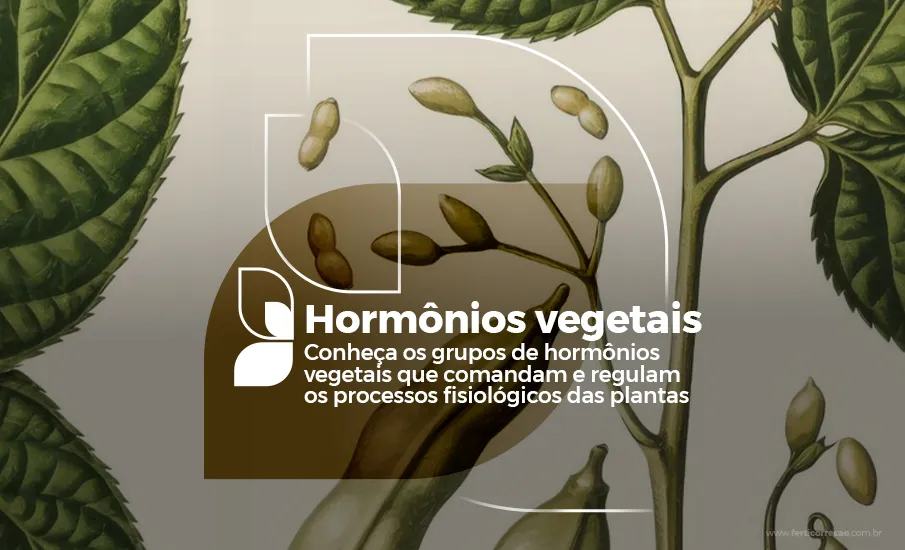 Hormônios vegetais  