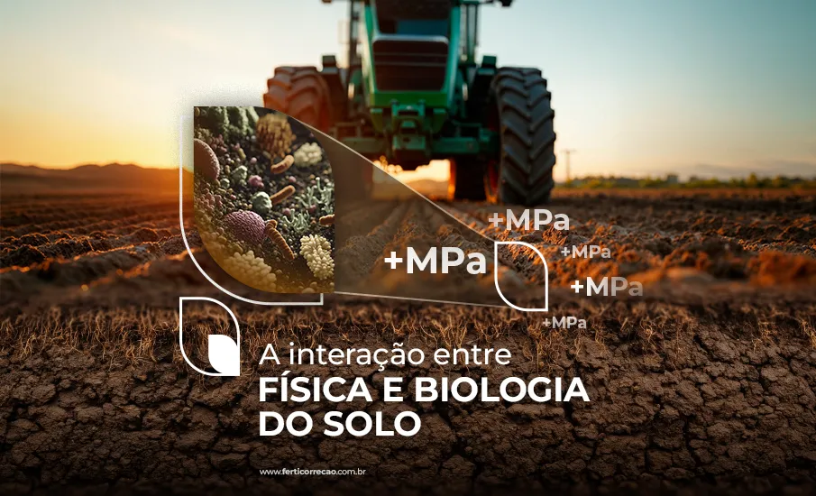 Compactação de solo e seus impactos no microbiologia 
