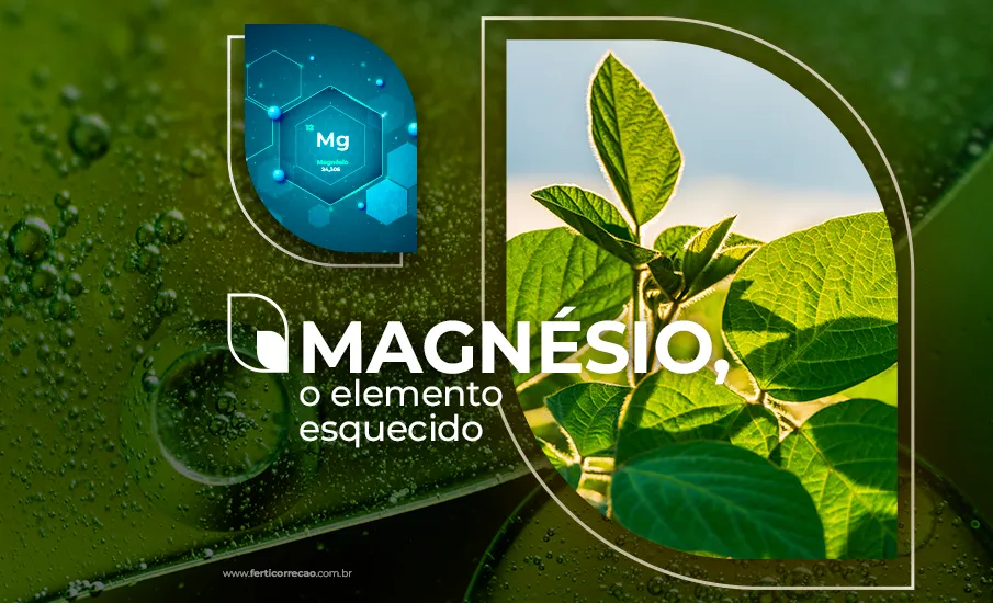 Magnésio, o elemento esquecido 