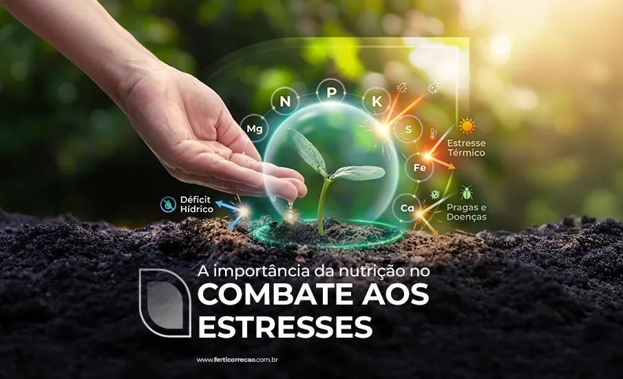 A importância da nutrição no combate aos estresses 