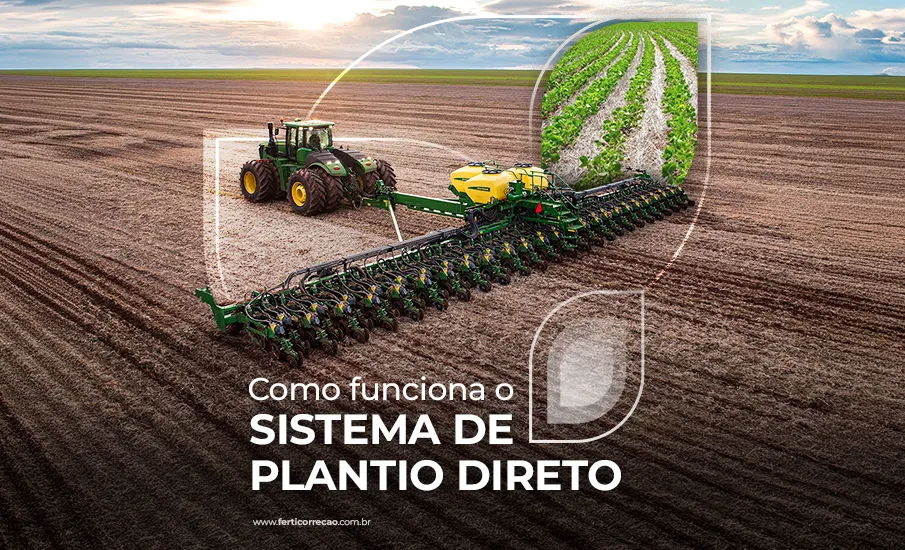 23/10 Dia do Plantio Direto 