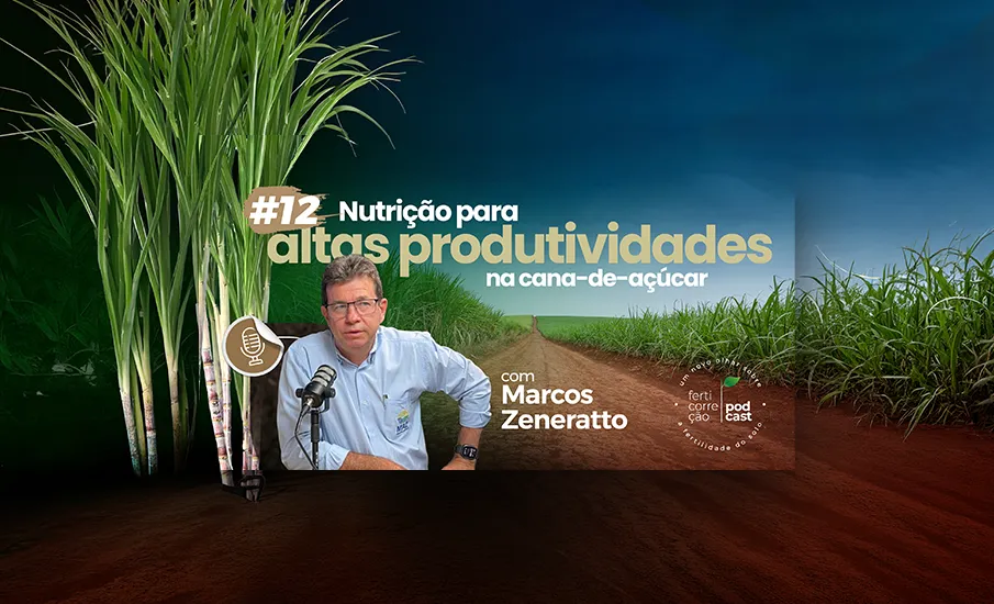 #12 Episódio do Ferticorreção Podcast