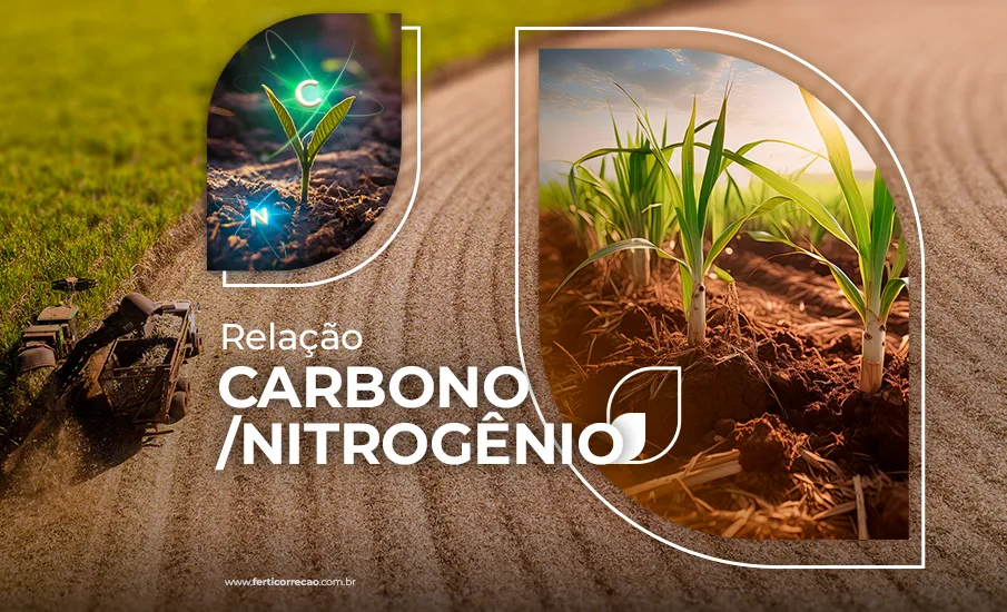 Relação Carbono/Nitrogênio